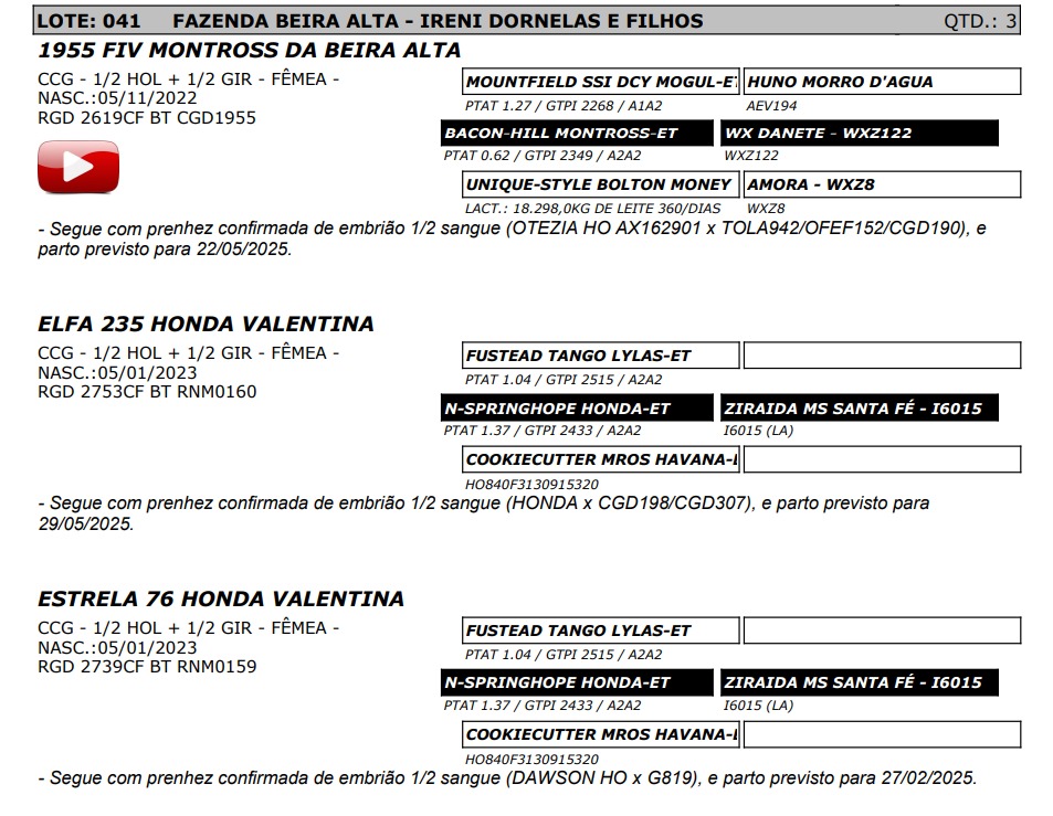 LOTE 41 2619-CF 2739-CF 2753-CF