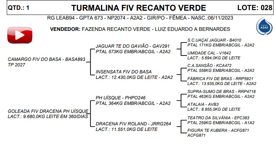LOTE 28 TURMALINA FIV RECANTO VERDE LEAB94
