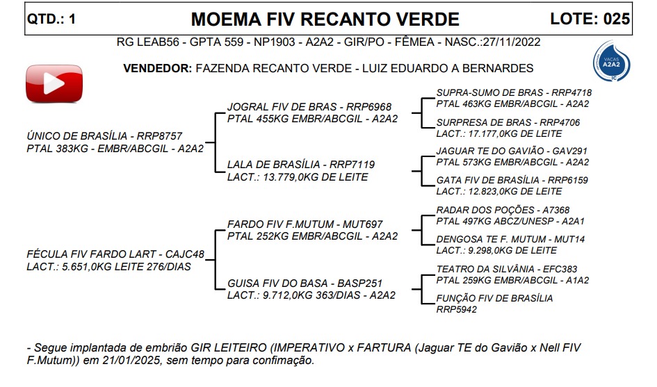 LOTE 25 MOEMA FIV RECANTO VERDE LEAB56