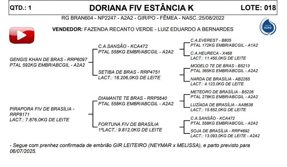 LOTE 18 DORIANA FIV ESTÂNCIA K BRAN604