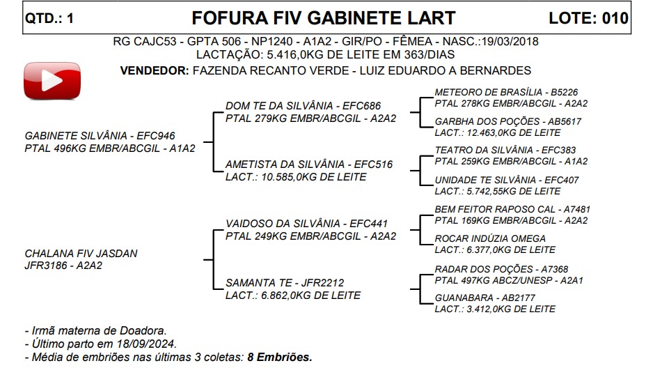 LOTE 10 FOFURA FIV GABINETE LART CAJC53