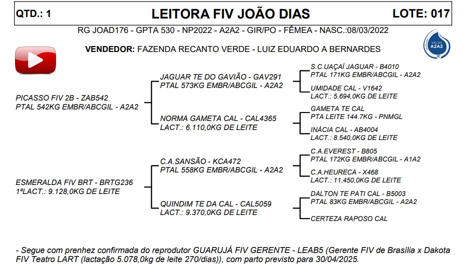 LOTE 17 LEITORA FIV JOÃO DIAS JOAD176