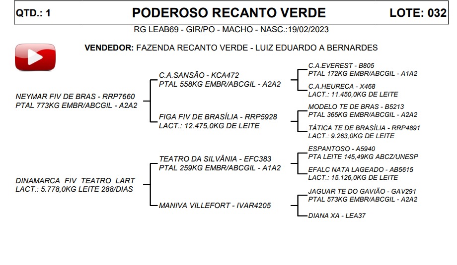 LOTE 32 PODEROSO RECANTO VERDE LEAB69
