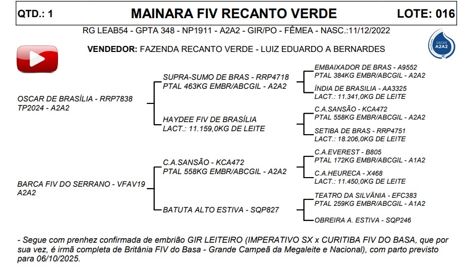 LOTE 16 MAINARA FIV RECANTO VERDE LEAB54