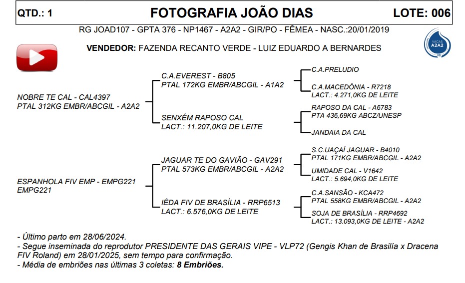 LOTE 06 FOTOGRAFIA JOÃO DIAS JOAD107