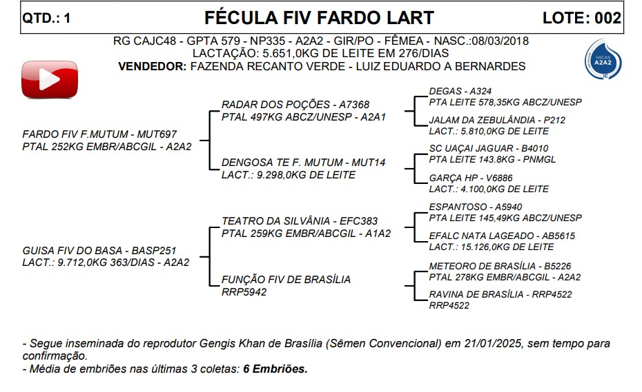 LOTE 02 FÉCULA FIV FARDO LART CAJC48