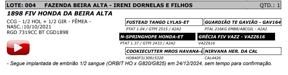 LOTE 04 7319-CC