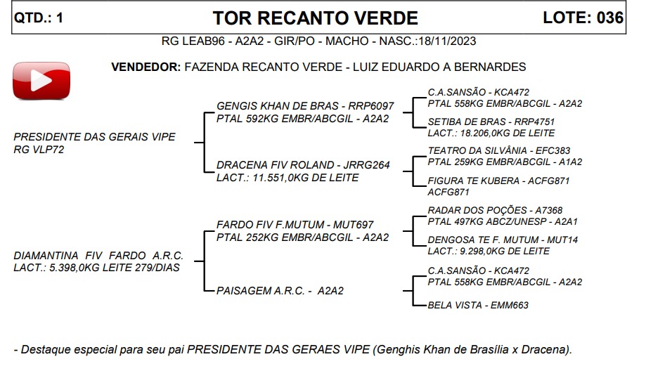 LOTE 36 TOR RECANTO VERDE LEAB96