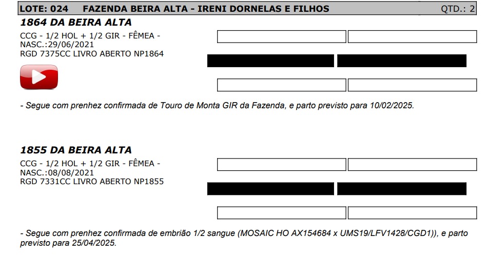LOTE 24 7375-CC 7331-CC