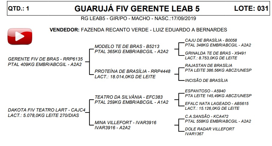 LOTE 31 GUARUJÁ FIV GERENTE LEAB 5 LEAB5