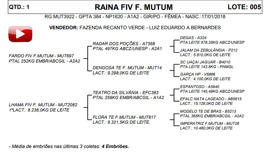 LOTE 05 RAINA FIV F. MUTUM MUT3922
