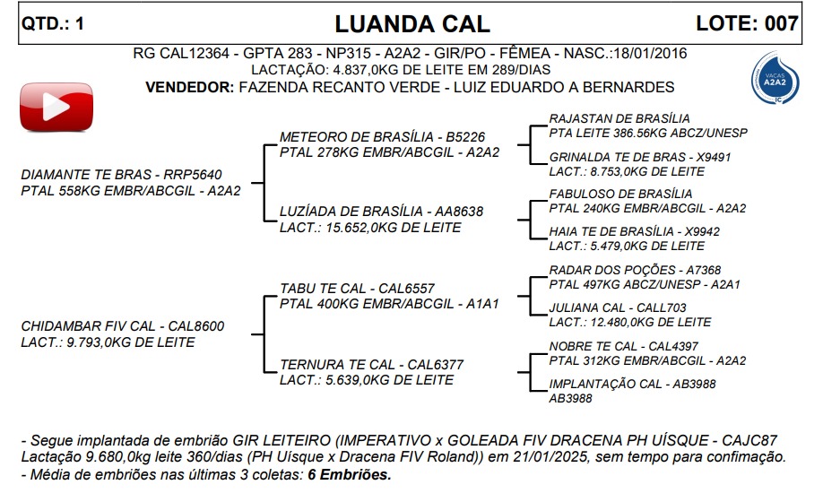 LOTE 07 LUANDA CAL CAL12364