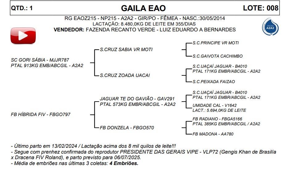 LOTE 08 GAILA EAO EAOZ215