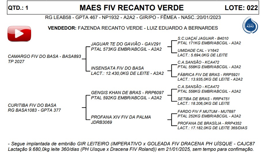 LOTE 22 MAES FIV RECANTO VERDE LEAB58