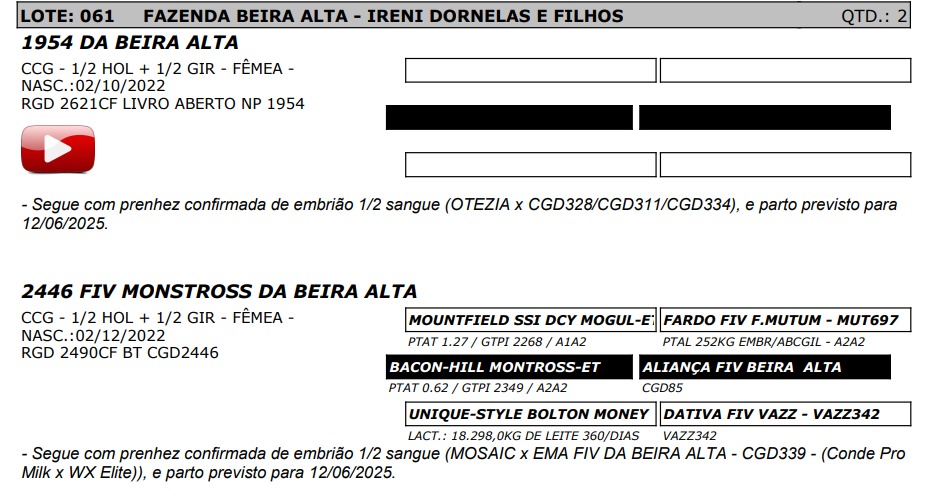 LOTE 61 2621-CF 2490-CF