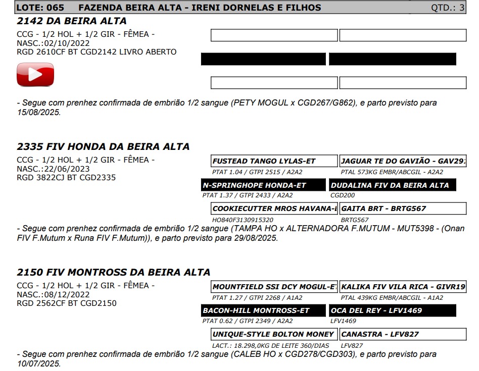 LOTE 65 3822-CJ 2610-CF 2562-CF