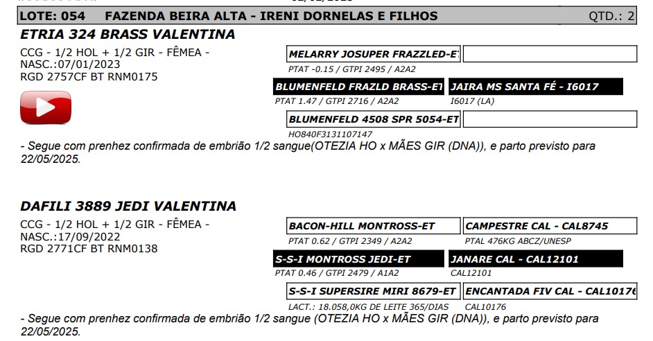 LOTE 54 2757-CF 2771-CF