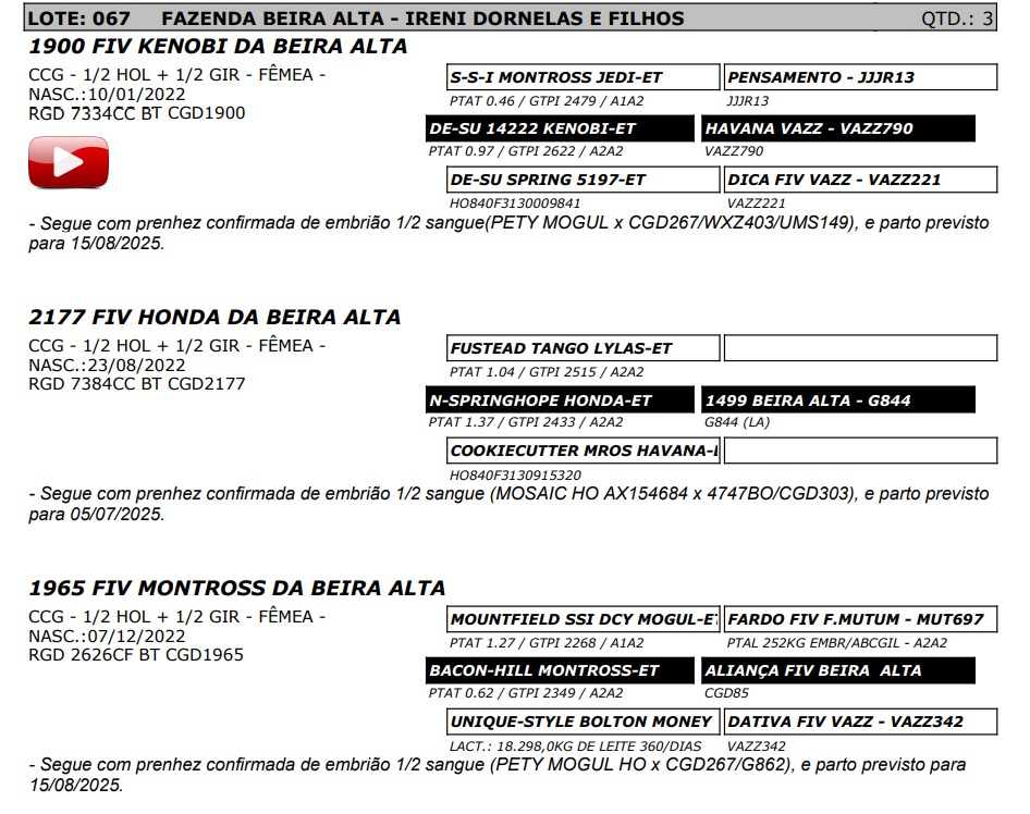 LOTE 67 7384-CC 2126-CF 7334-CC