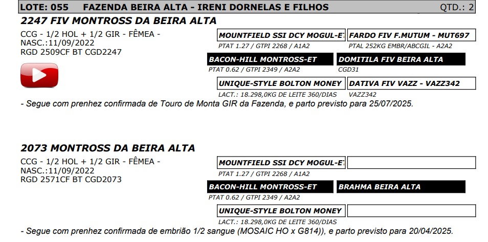 LOTE 55 2509-CF 2571-CF