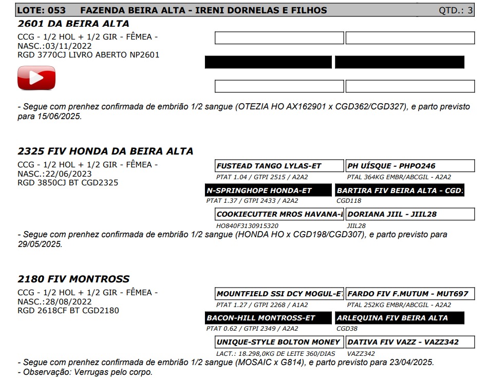 LOTE 53 3850-CJ 2618-CJ 3770-CJ