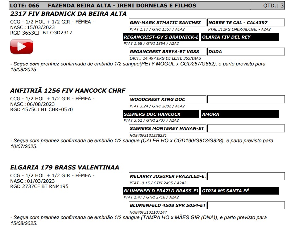 LOTE 66 2737-CF 3653-CJ 4575-CJ