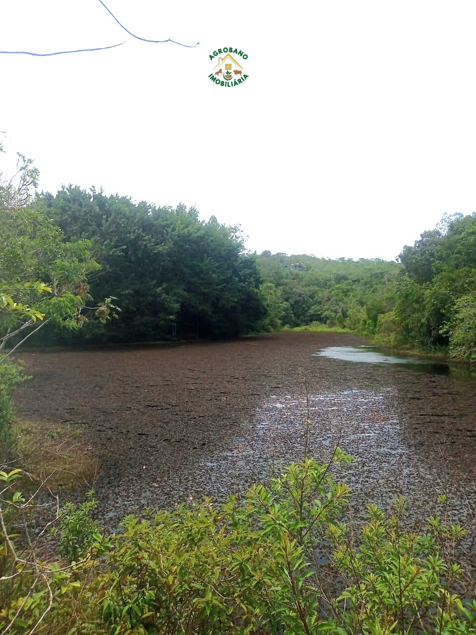 Chácara à venda em Pariquera-Açu/SP - Vale do Ribeira