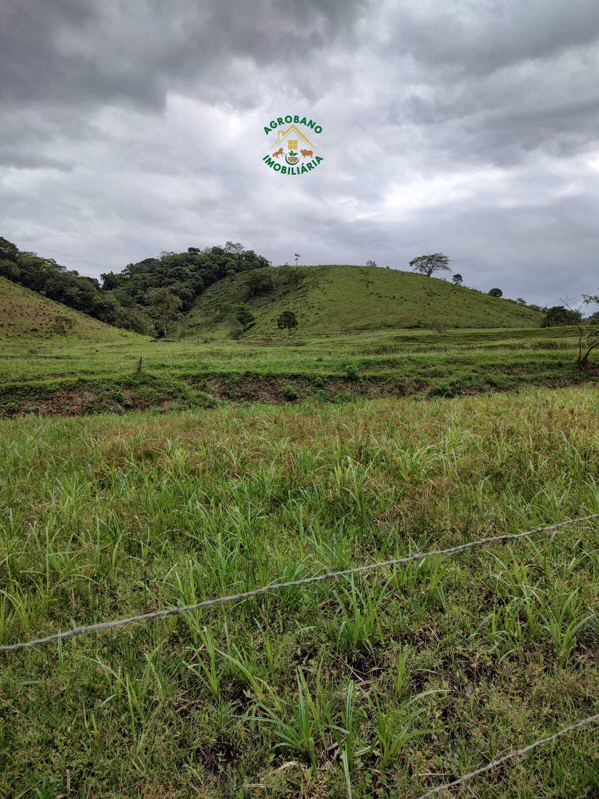 Fazenda em Registro/SP - Vale do Ribeira.