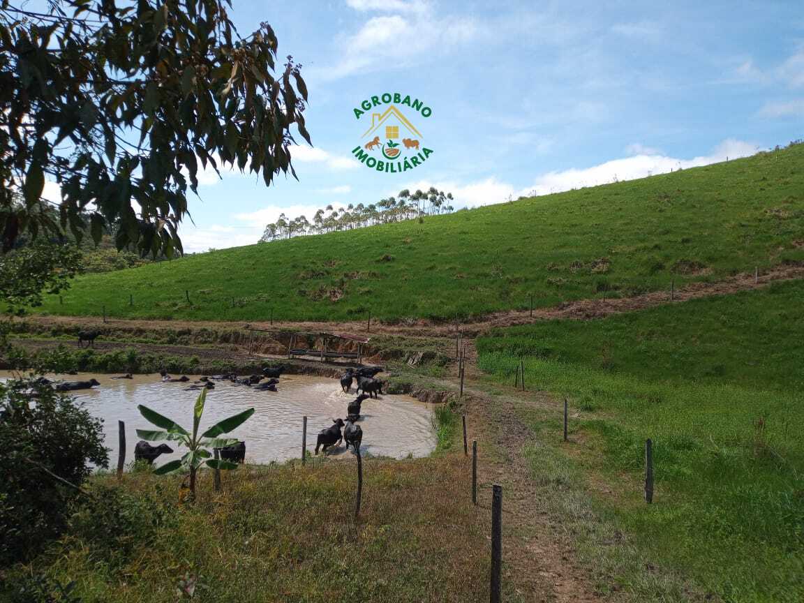 Fazenda em Registro/SP - Vale do Ribeira.