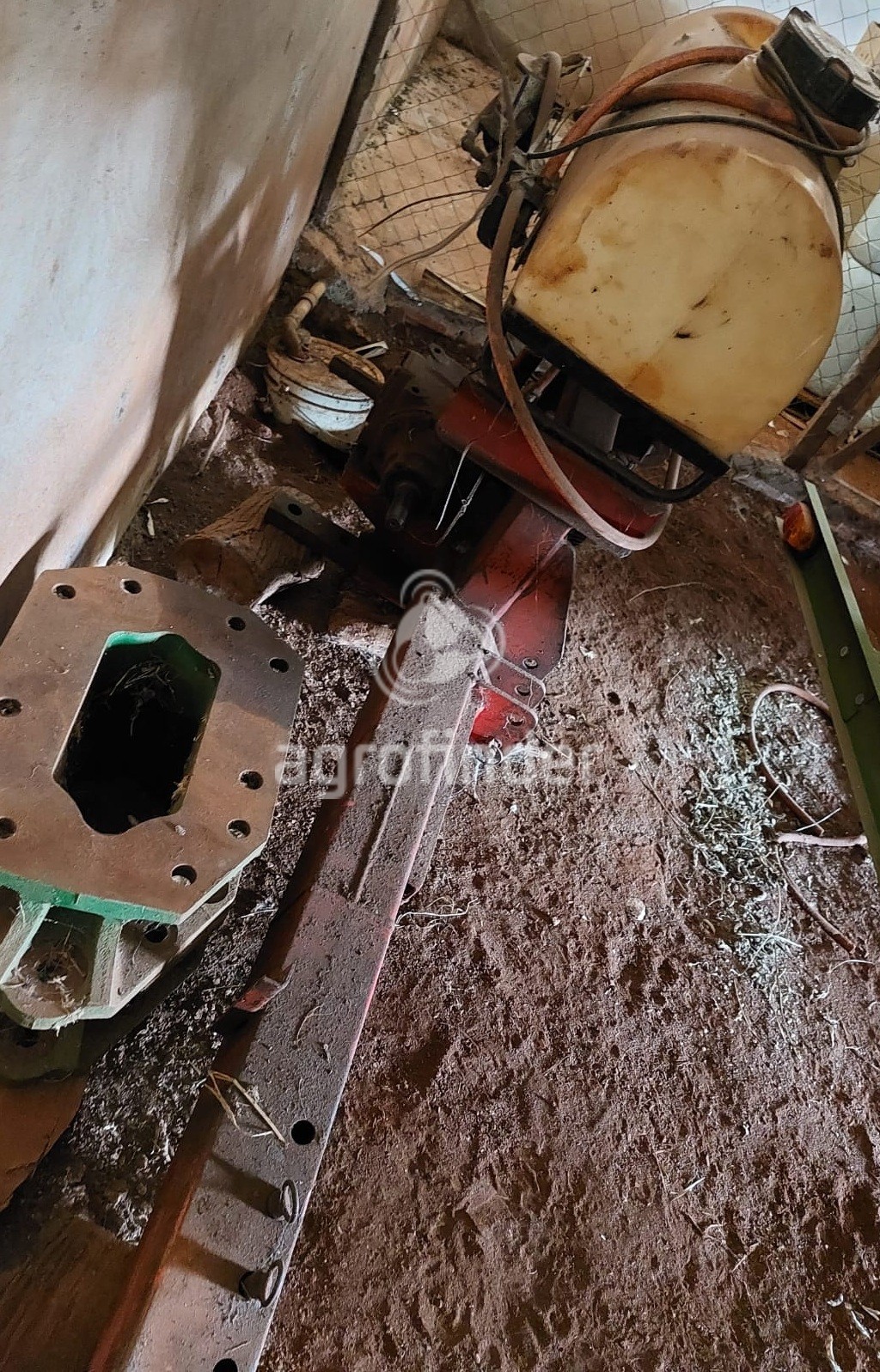 Forrageira Menta Premium  Ano 2009