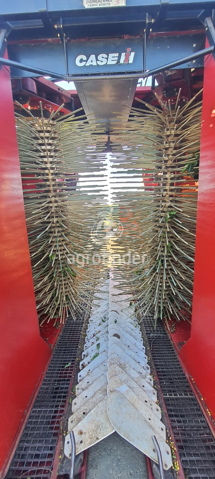 Colhedora de Café Case  CE200 Multi  Ano 2018