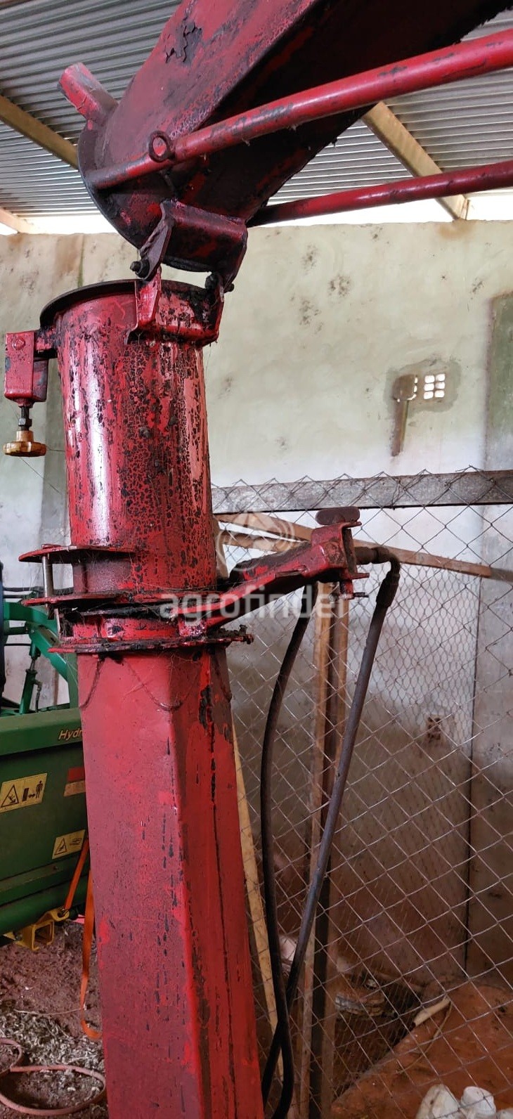 Forrageira Menta Premium  Ano 2009