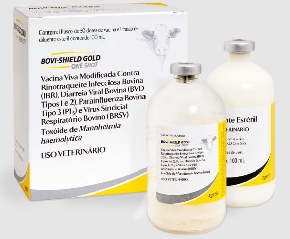 Vacina Bovishield Gold (50ds) 100ml - Zoetis