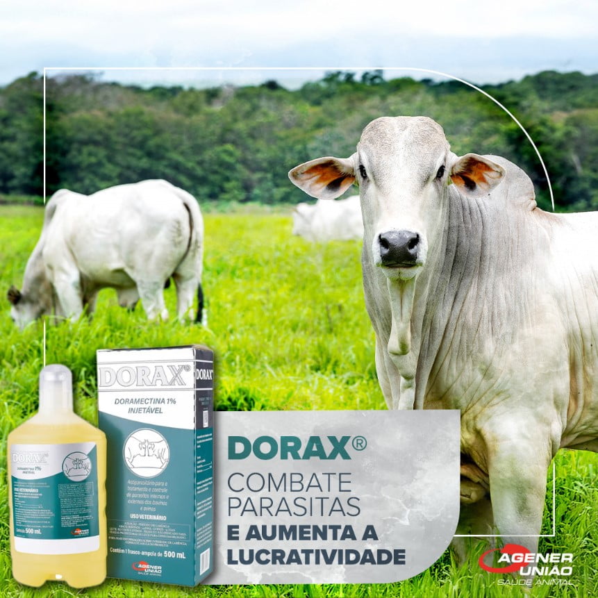 Dorax 1% Inj 500ml - Agener União