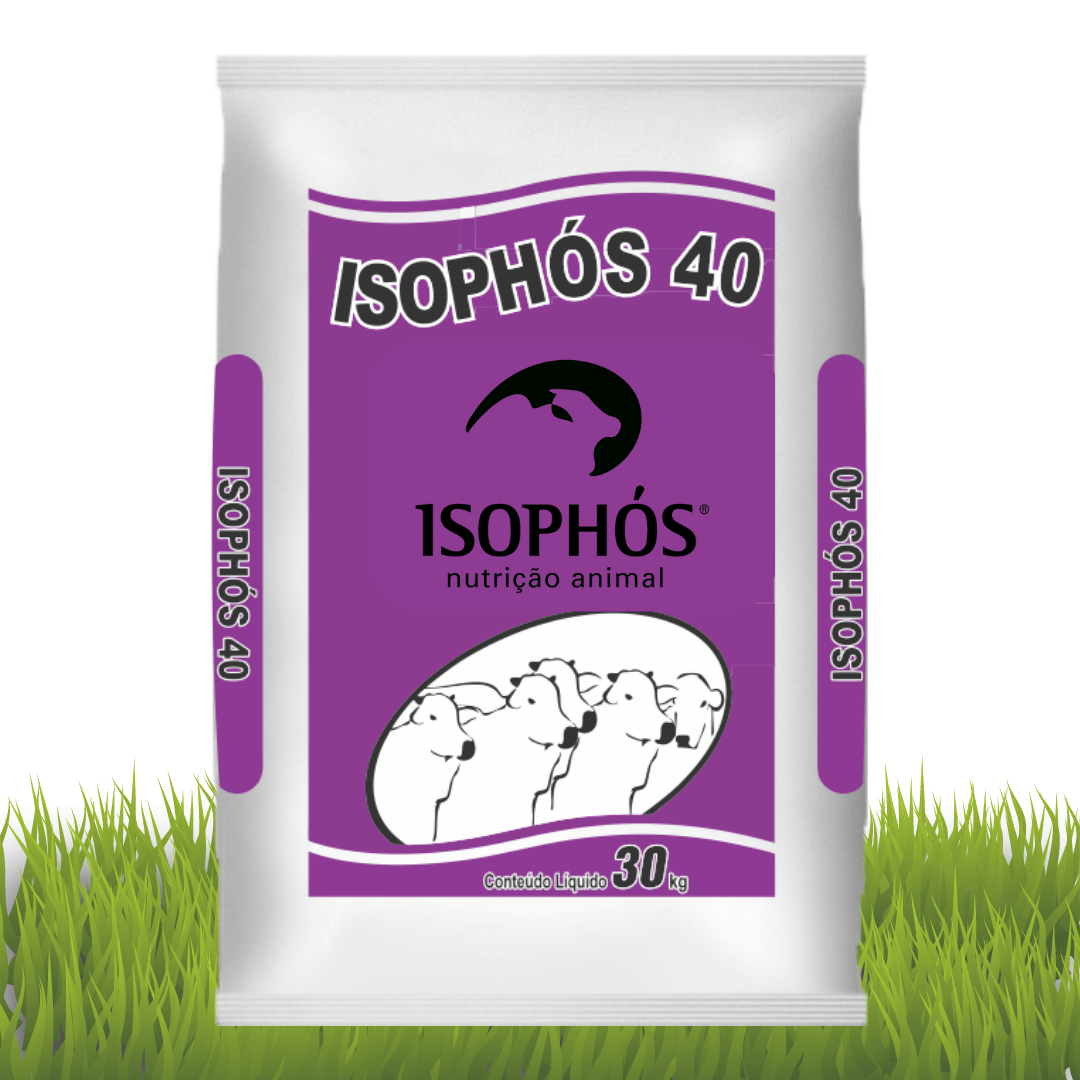 Isophós 40