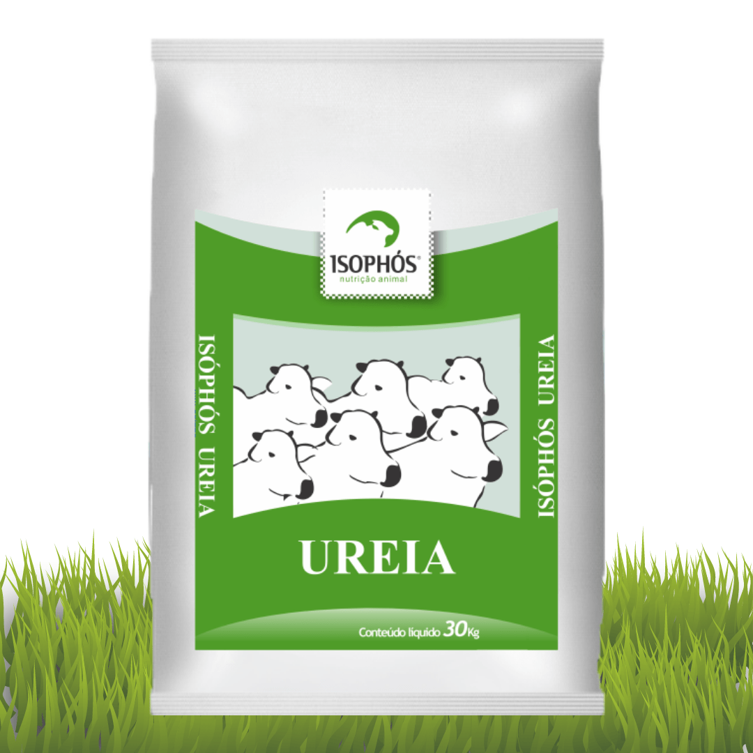 Isophós Ureia