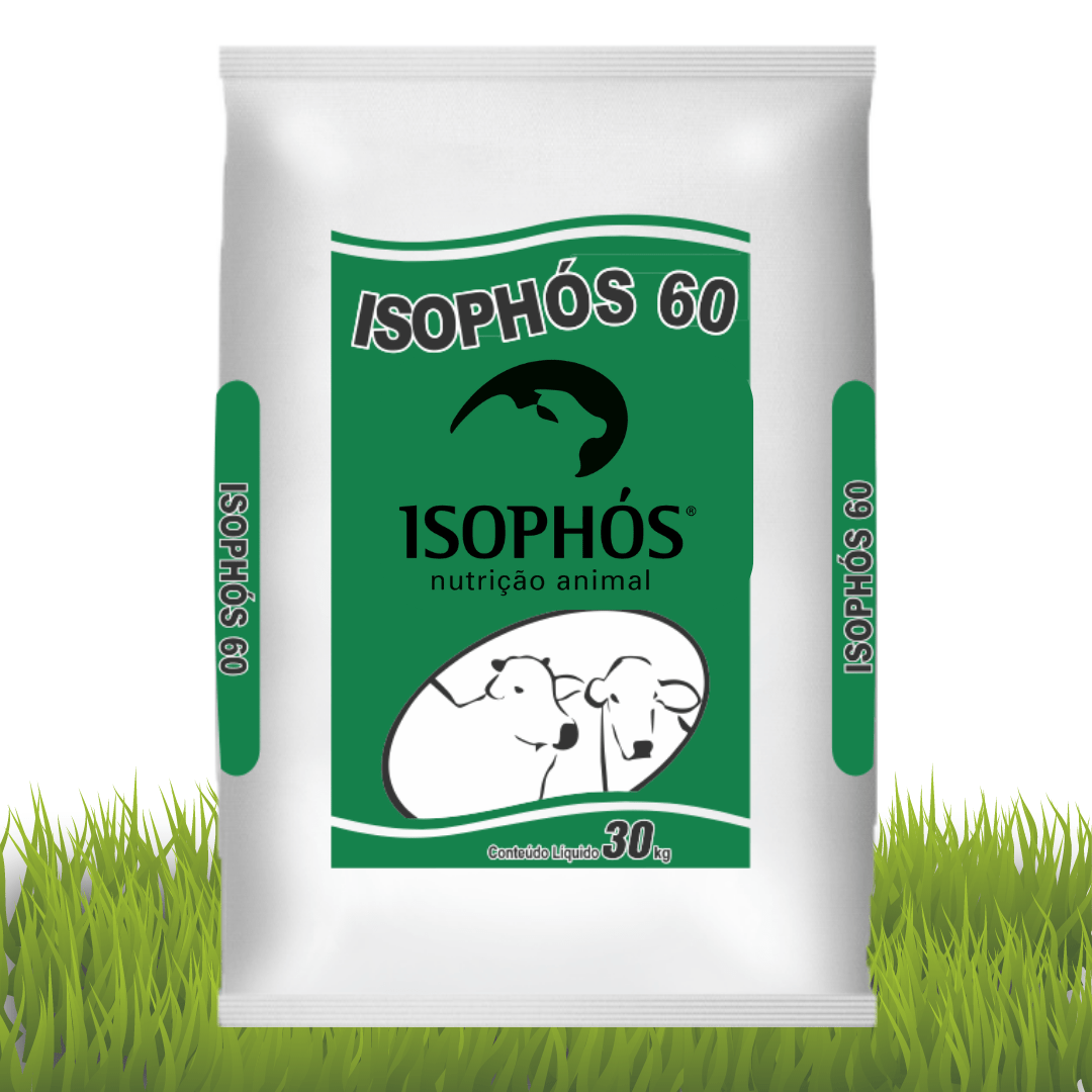 Isophós 60