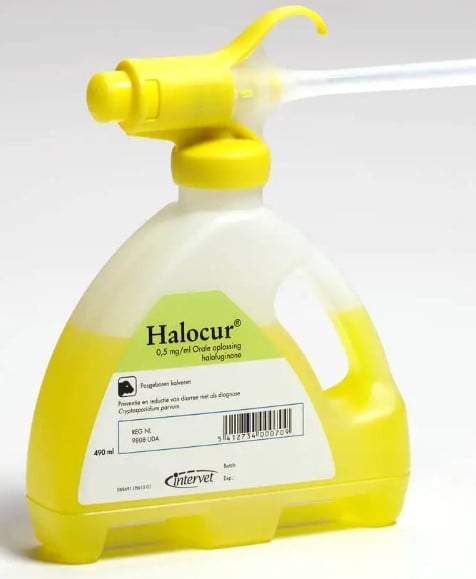 Halocur 490ml - Msd