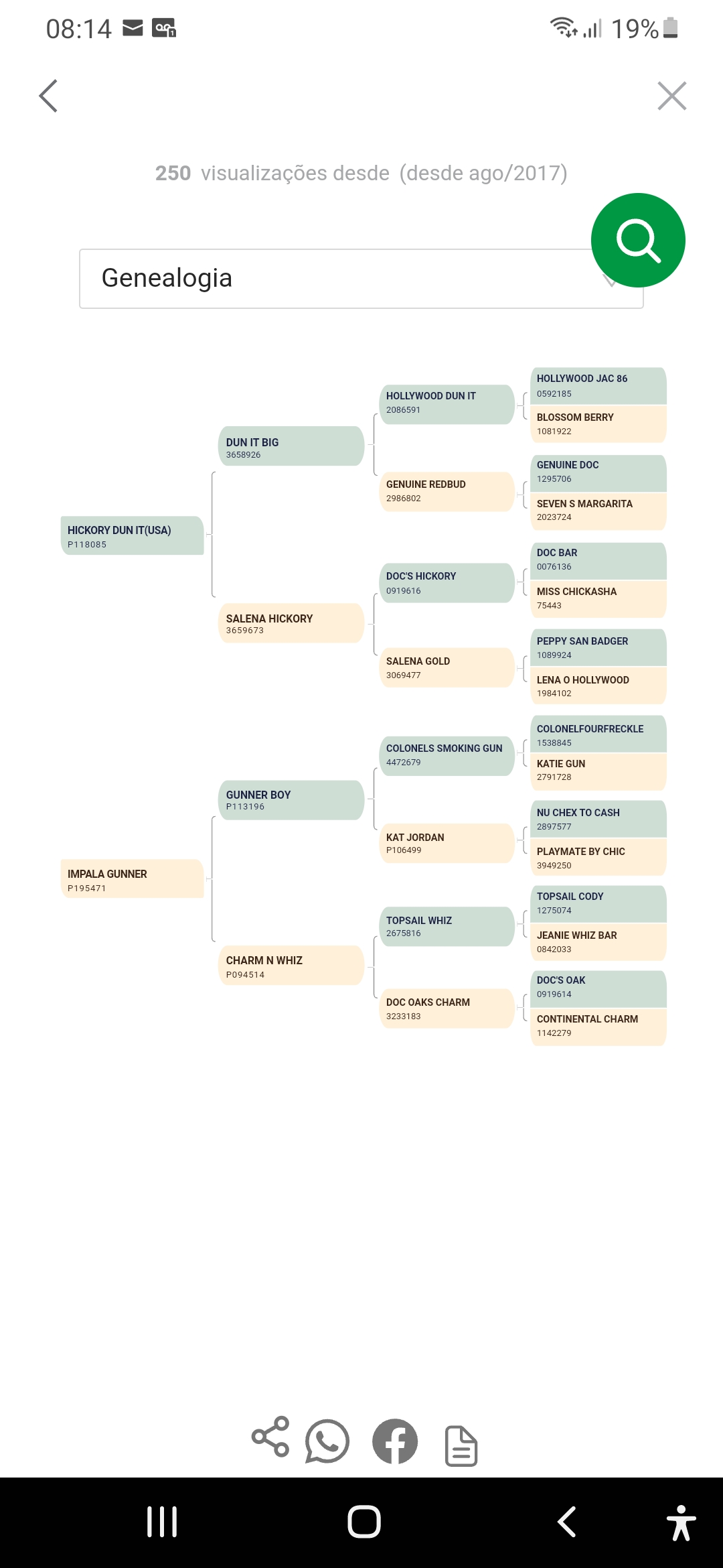 Hickory playboy gun P323361