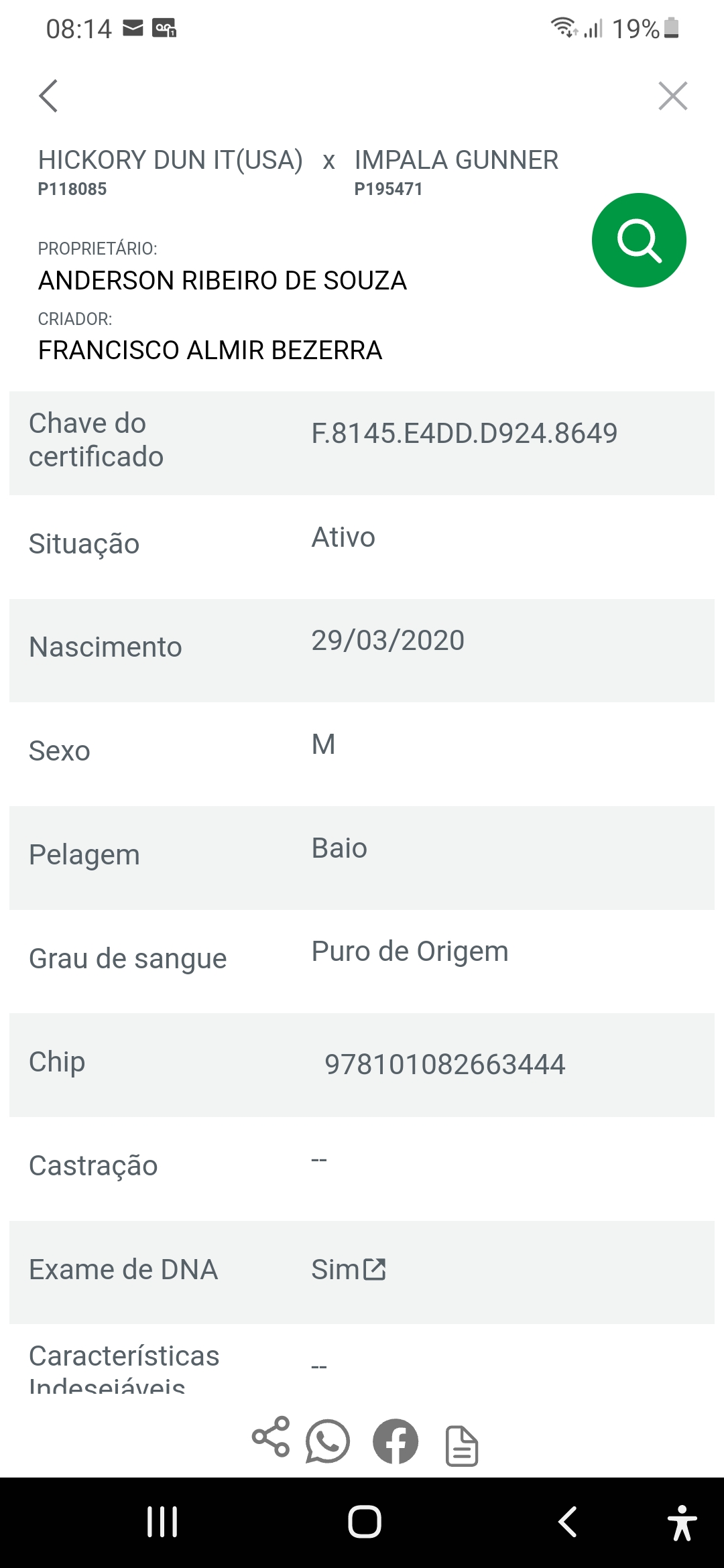 Hickory playboy gun P323361