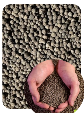 ADUBO E FERTILIZANTE SUPER SIMPLES 19% E 21%