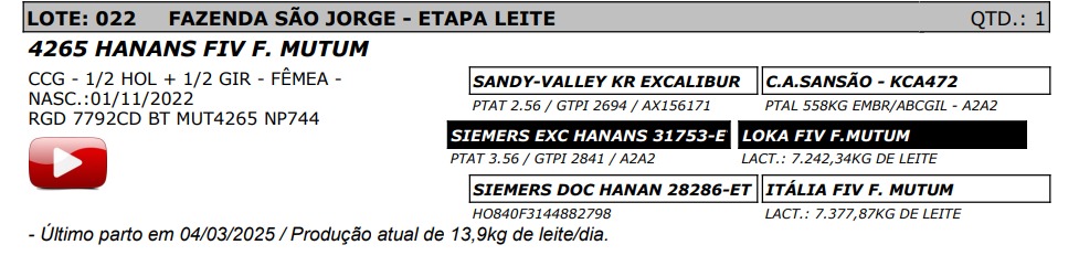 LOTE 22 - 4625 HANANS FIV F. MUTUM - NP 744