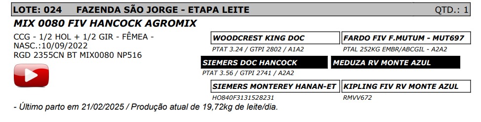 LOTE 24 - MIX 0080 FIV HANCOCK AGROMIX - NP 516