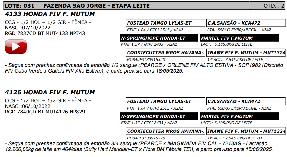 LOTE 31 - HONDA FIV F. MUTUM - NP 743 / 4126 HONDA FIV F. MUTUM - NP 829