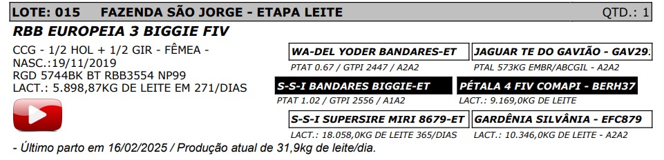 LOTE 15 - RBB EUROPEIA 3 BIGGIE FIV - NP 99