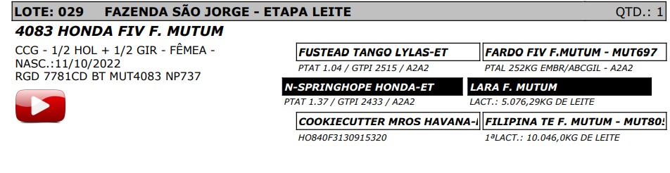 LOTE 29 - 4083 HONDA FIV F. MUTUM - NP 737