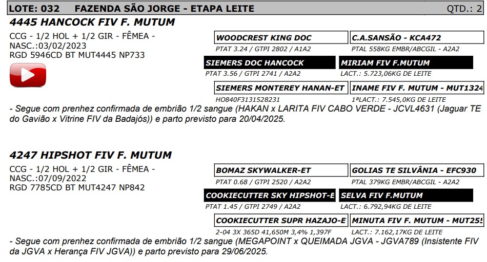 LOTE 32 -4445 KANCOCK FIV F. MUTUM - NP 733 / 4247 HIPSHOT FIV F. MUTUM - NP 842