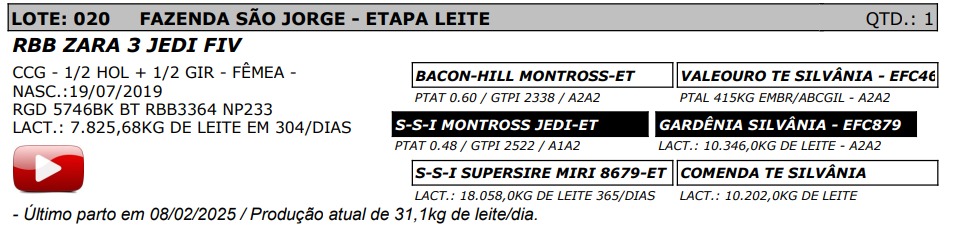 LOTE 20 - RBB ZARA 3 JEDI FIV - NP 233