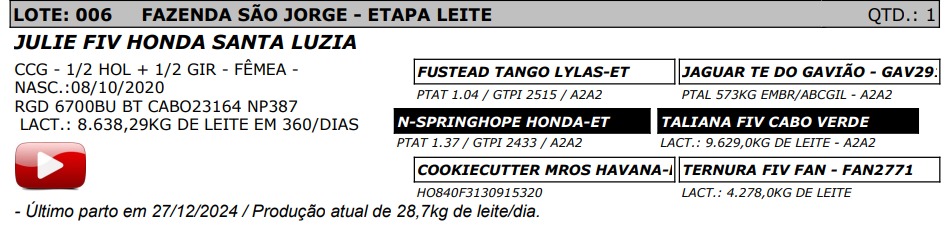 LOTE 06 - JULIE FIV HONDA SANTA LUZIA - NP 387