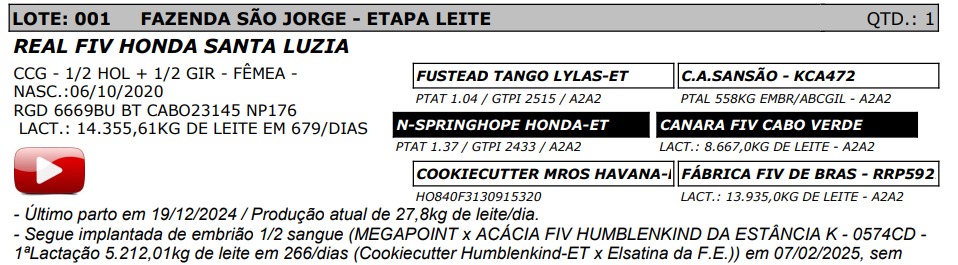 LOTE 01 - REAL FIV HONDA SANTA LUZIA - NP 176