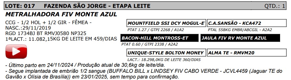 LOTE 17 - METRALHADORA FIV MONTE AZUL - NP 325